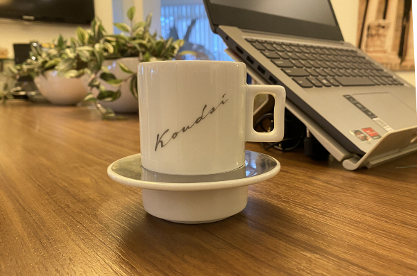 Koudsi ™ biedt rijblijvende Corporate Identity en internet-check. 