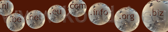 Koudsi internetdiensten Duiven, domeinnaam registratie. Snel Domeinnaam registratie (realtime), veilig en lage kosten.
