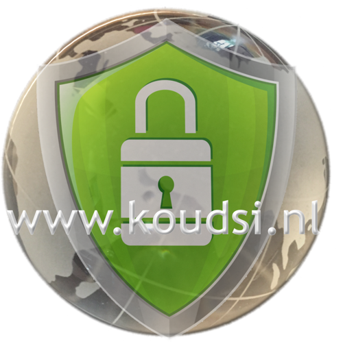 KOUDSI ™ biedt verschillende business-webhostingaccounts inclusief bijpassende SSL-certificaten voor een snelle en veilige verbinding.